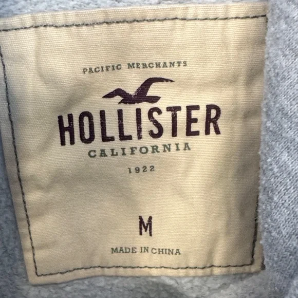 Hollister Vintage Size M Gray and Cream Hoodie Embroidered Logo Y2K - Picture 2 of 6